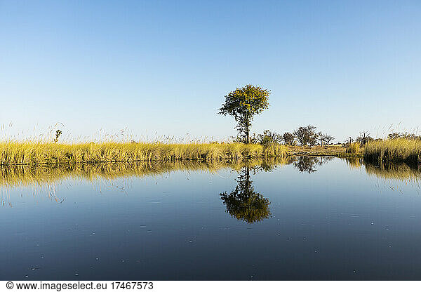 A flat landscape and calm waters of the Okavango Delta