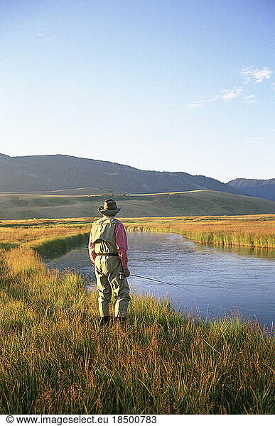 A fly-fisherman stands alongside a Rocky Mountain trout stream.