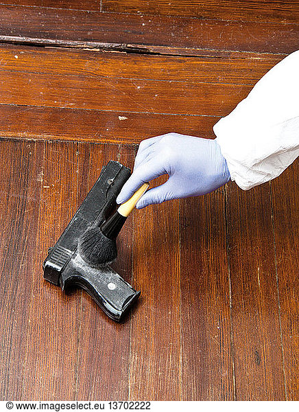 A forensic investigator dusting a gun for fingerprints at a crime scene.