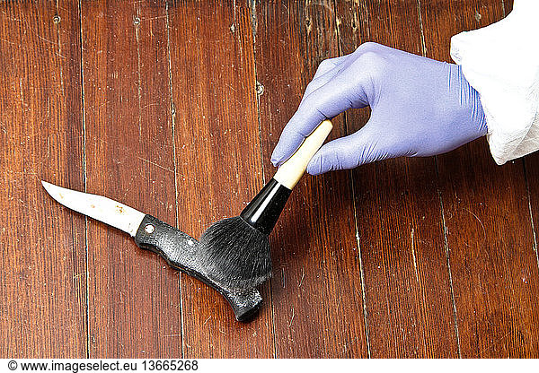 A forensic investigator dusting a knife for fingerprints at a crime scene.