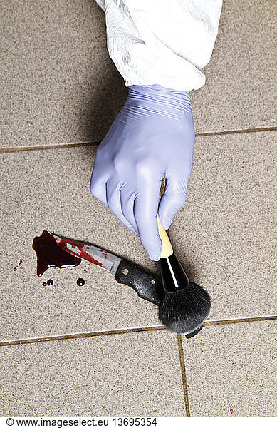 A forensic official examines a bloody knife for DNA evidence.