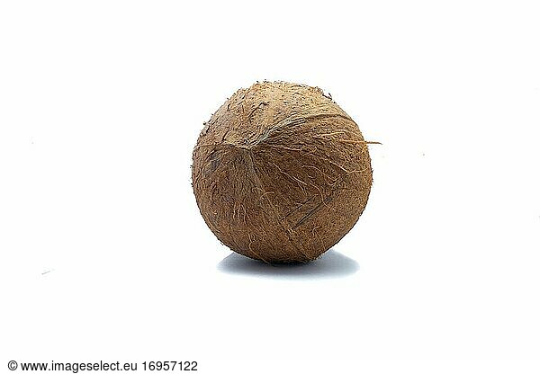 A Fresh Coconut Alone isoliert auf weißem Hintergrund mit Beschneidungspfad Nahaufnahme.
