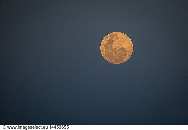 A full moon at dusk  orange-pink moon against dark-blue background