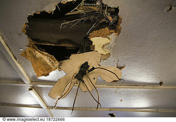 A gaping hole in the ceiling of an abandoned farm house on the shores of the Yakima River near Cle Elum  Washington.