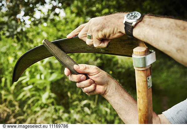 A gardener working sharpening a curved metal scythe blade with a file.
