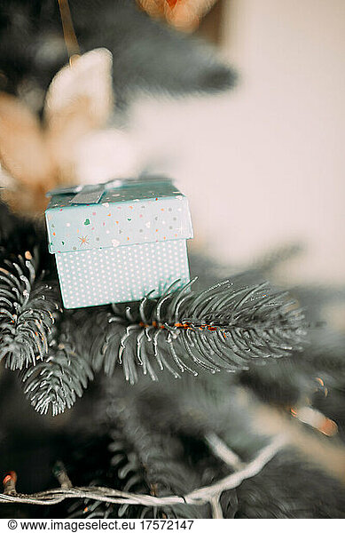 a gift in a blue box on the branches of a New Year's tree