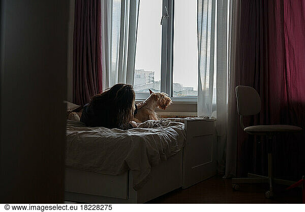A girl and a dog on a large bed in a room by the window