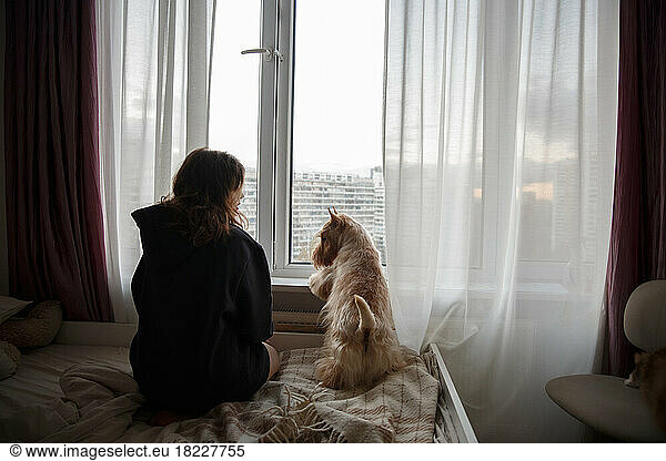 A girl and a dog on a large bed in the room look out the window