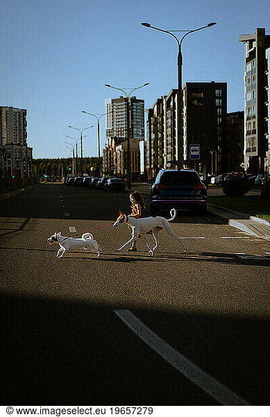 A girl child with dogs crosses the street.