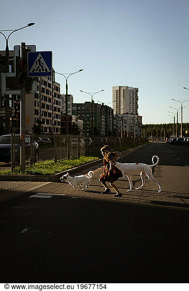 A girl child with dogs crosses the street.