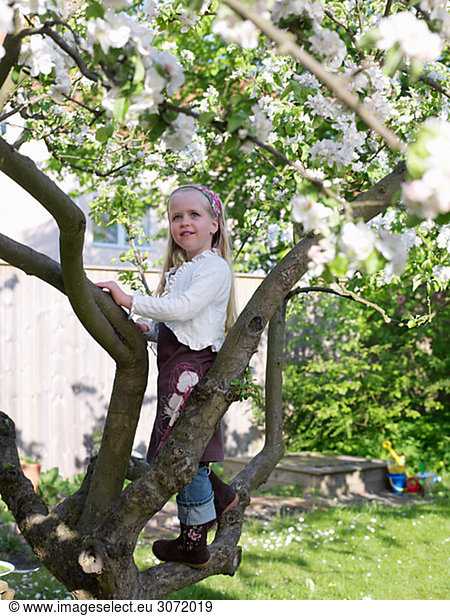 A girl climbing a tree Skane Sweden.