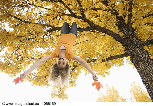 A girl hanging upside down from a tree branch  holding two large maple leaves in autumn.