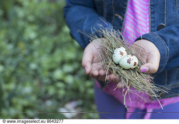 A girl holding out cupped hands  with a small bunch of twigs and two bird's eggs.