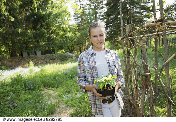 A Girl In A Checked Shirt Holding A Plant With Bright Green Leaves In A Plant Pot. An Fenced Off Enclosure.