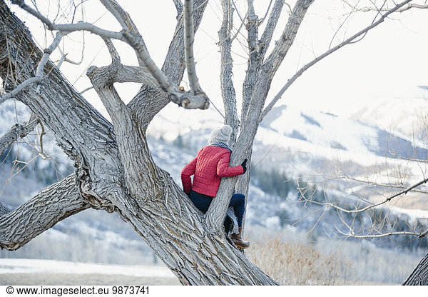 A girl in a red jacket sitting in a tree overlooking the landscape.
