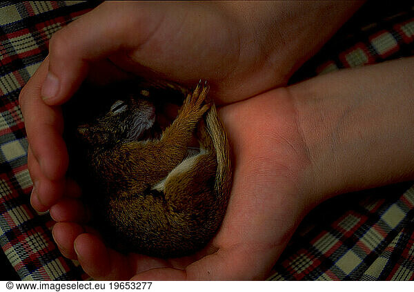 A girl with a baby squirrel.