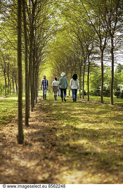 A group of friends walking down an avenue of trees in woodland.