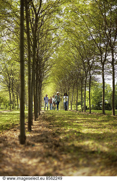 A group of friends walking down an avenue of trees in woodland.