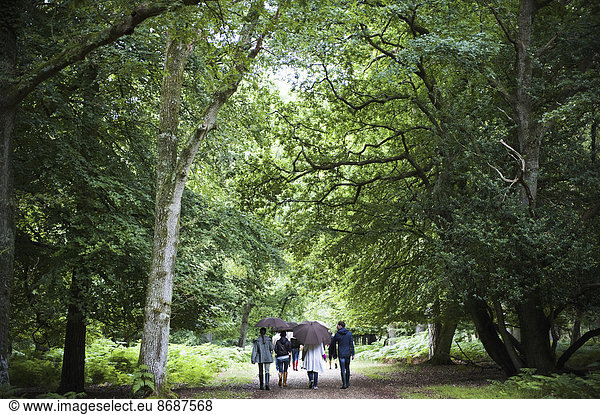 A group of people holding umbrellas  walking along a path through woodland and mature trees in leaf.