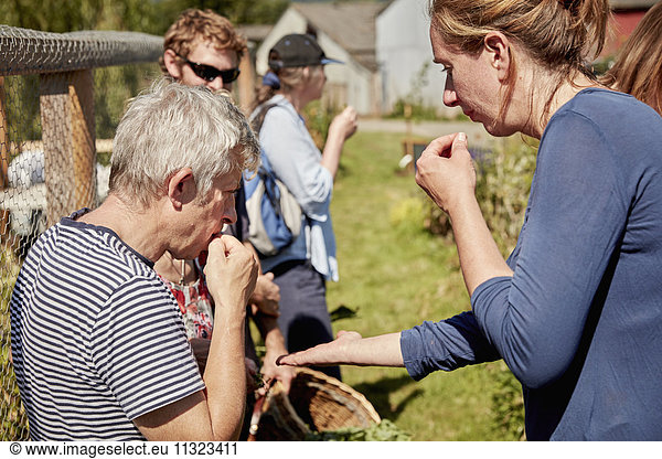 A group of people tasting seeds and plants on the foraging course.