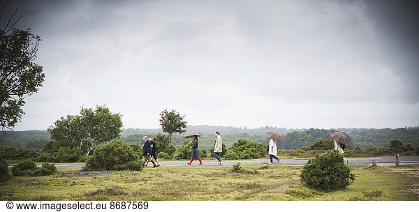 A group of people walking along a country road under umbrellas. Heath land.