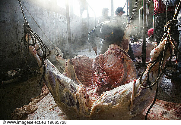 A gruesome scene of a slaughter house in rural Guatemala.