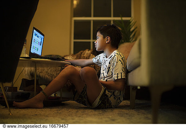 A half Japanese boy uses a laptop in the living room