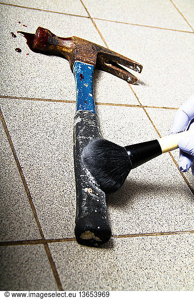 A hammer covered in blood and hair is dusted for DNA evidence by a forensic official.