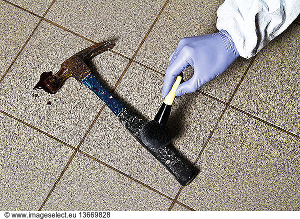 A hammer covered in blood and hair is dusted for DNA evidence by a forensic official.