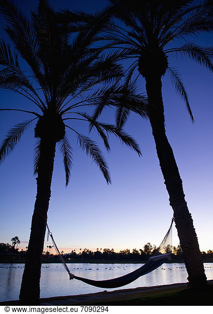 A Hammock strung between two palm trees by a lake at sunset  at Scottsdale resort.