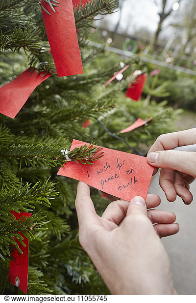 A handwritten label in a Christmas tree  I Wish for World Peace.