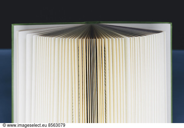 A hard cover printed book  opened and upright. Pages fanned out with graduated yellowing edges  changing to brown and black in the centre.