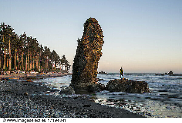 A highlight of the Olympic National Park is Ruby Beach. Tourists enjoy the rugged coast and cold water.