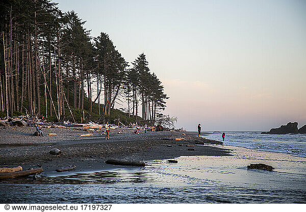 A highlight of the Olympic National Park is Ruby Beach. Tourists enjoy the rugged coast and cold water.