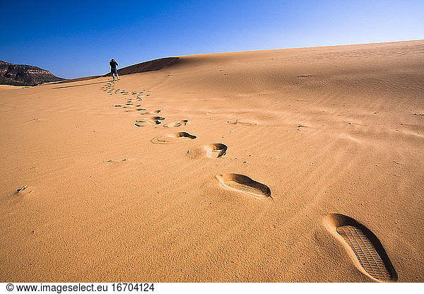 A hiker explores Coral Pink Sand Dunes State Park in Utah.