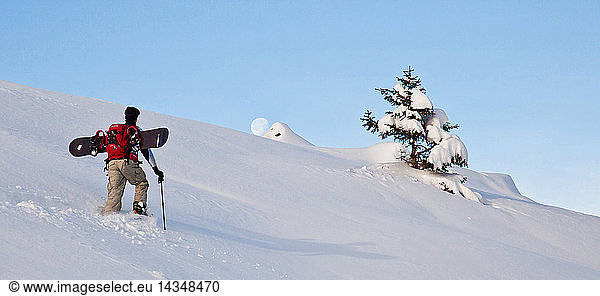 A hiker on snowshoes venture into the fresh snow as the moon appears on the horizon  Rasura. Valgerola  Alps Orobie  Valtellina  Lombardy  Italy  Europe