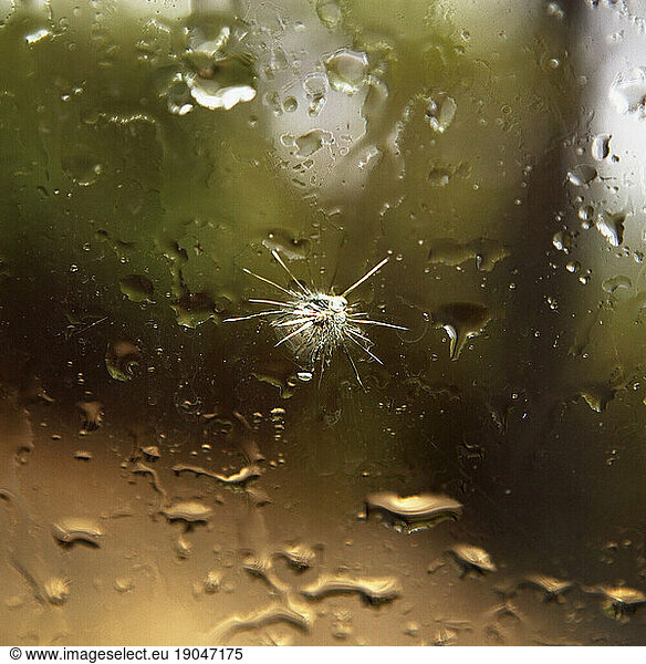 A hole in cracked glass.