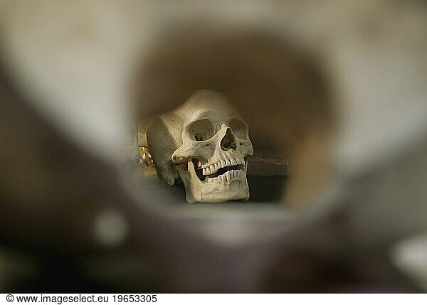 A human skull is seen through the opening of a vertebra which is blurred in the foreground..