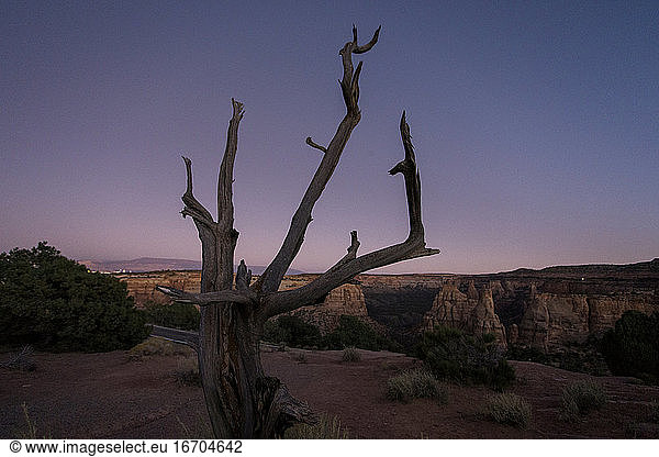 A landscape image Colorado National Monument at night.