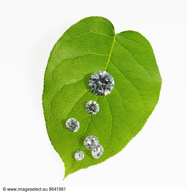 A leaf with vein pattern with small glass reflective objects  or gems  gem cut sparkling.