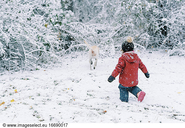 A little girl and her dog playing in the snow in New England