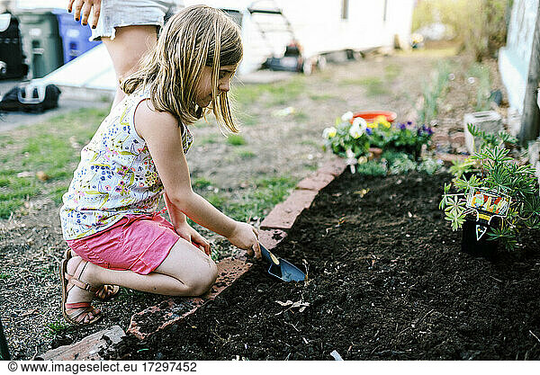 A little girl planting annuals in her garden patch with confidence
