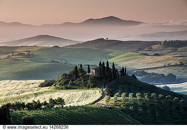 A lonely farmhouse with cypress and olive trees  rolling hills  Val d´Orcia  Tuscany  Italy