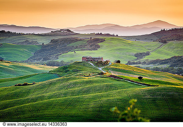 A lonely farmhouse with cypress and olive trees  rolling hills  Val d´Orcia  Tuscany  Italy