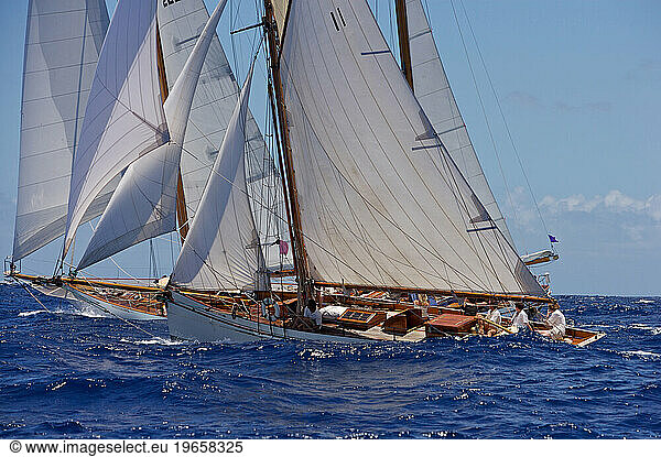 A luxury yacht sails in the 2008 Antigua Classic Yacht Regatta  British West Indies  Antigua