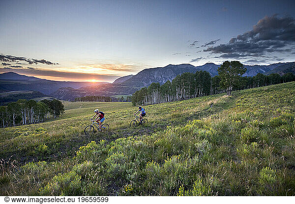 A man and a woman riding mountain bikes through a field.