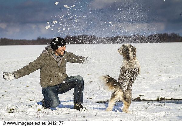 A man and his dog are playing in the snow on a field near Wustermark  Havelland  Brandenburg  Germany