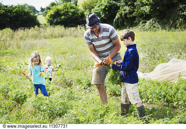 A man and three children holding carrots in a vegetable patch.