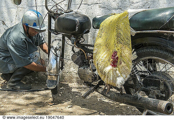 A Man Fills His Motorcycle Tire with Air. A Live Chicken is Hanging from the Seat. Santa Clara  Villa Clara  Cuba