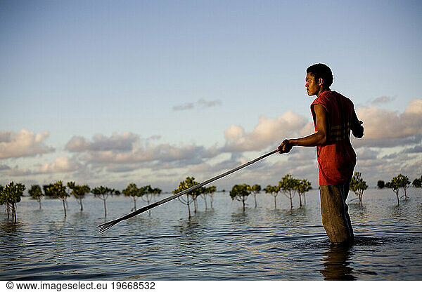 A man holds his spear as he fishes in the mangrove trees at dusk.